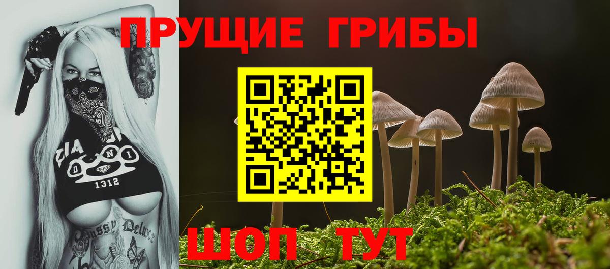 Галлюциногенные грибы GOLDEN TEACHER  Псилоцибиновые грибы мицелий  Люберцы  наркота  Вход с VPN 